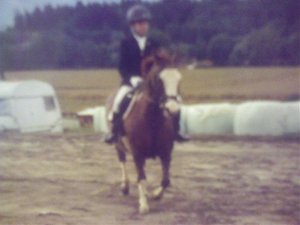 Braunes Pferd (27).jpg