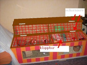 image_490new new.JPG