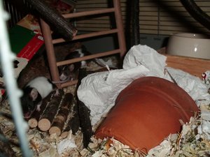 CIMG0434.JPG CIMG0434.JPG