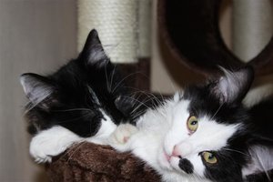 IMG_6290 (Small).JPG