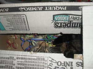 Februar2010 1257.jpg