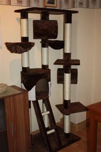 IMG_6214 (Small).JPG IMG_6214 (Small).JPG