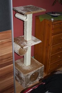 IMG_6216 (Small).JPG IMG_6216 (Small).JPG