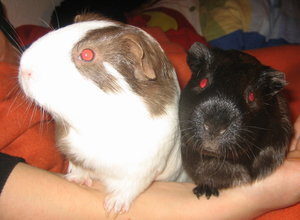 mary und felix.9.jpg