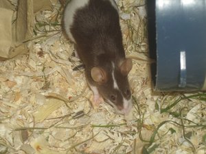 DSCI1407.JPG DSCI1407.JPG