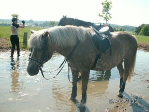 Stall-Haus-... 412.jpg