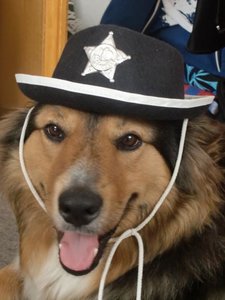 CIMG1374.JPG CIMG1374.JPG