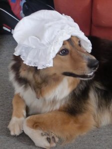 CIMG1379.JPG CIMG1379.JPG