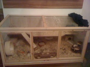 aller neuestes bild.jpg