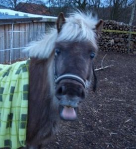 fratze von Mara - Kopie.jpg