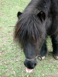 Sibylle Erni 149.JPG