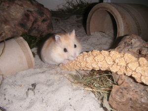 DSCF1353.JPG DSCF1353.JPG