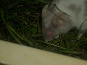 DSCI1181.JPG DSCI1181.JPG