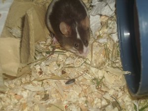 DSCI1413.jpg DSCI1413.jpg