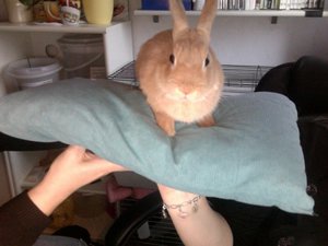 Foto am 29-11-2010 um 15.19 #3.jpg