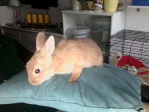 Foto am 29-11-2010 um 15.17.jpg