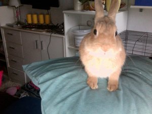 Foto am 29-11-2010 um 15.18 #2.jpg