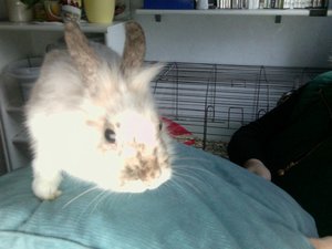 Foto am 29-11-2010 um 15.27 #2.jpg