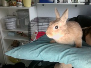 Foto am 29-11-2010 um 15.19 #2.jpg