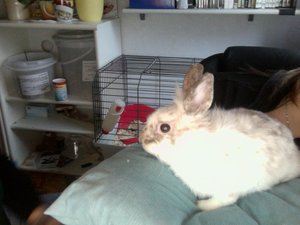 Foto am 29-11-2010 um 15.25.jpg