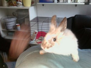 Foto am 29-11-2010 um 15.25 #2.jpg