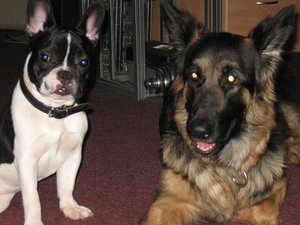 k-rosi&bruce 002.jpg