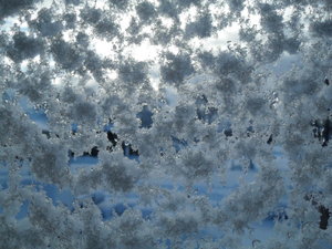 SDC11608.JPG SDC11608.JPG