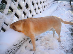 DSCN2313.JPG DSCN2313.JPG