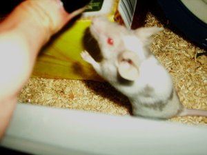 DSCI0059.JPG DSCI0059.JPG