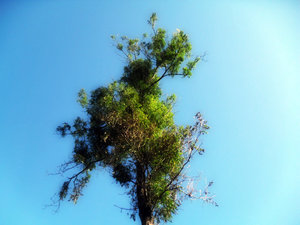 Bilder Dorothee 1151-1.JPG Bilder Dorothee 1151-1.JPG