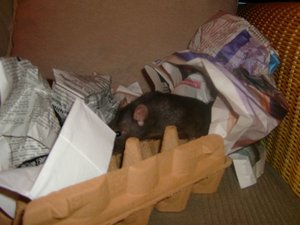 Kopie von S7007630.JPG