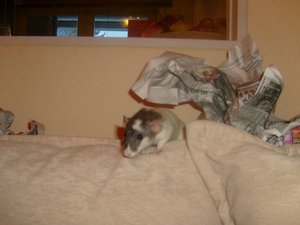 Kopie von S7007631.JPG