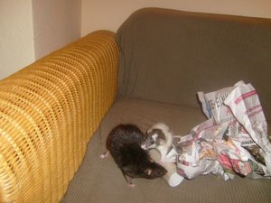 Kopie von S7007633.JPG