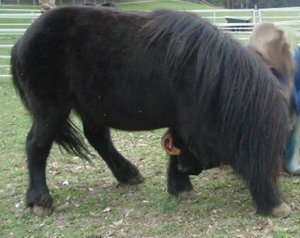 Sibylle Erni 067.JPG