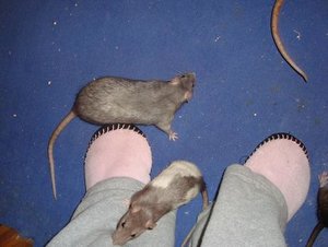 Einfach ignorieren.JPG