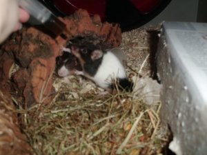 CIMG1341.JPG CIMG1341.JPG