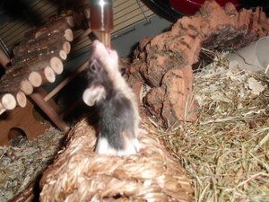 CIMG1299.JPG CIMG1299.JPG