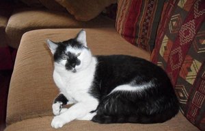 SDC10711 (Medium).JPG