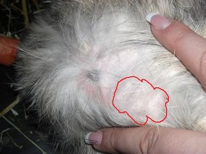 CIMG3106 - Kopie.JPG