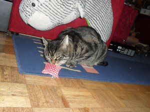 Weihnacht 2010 008.jpg