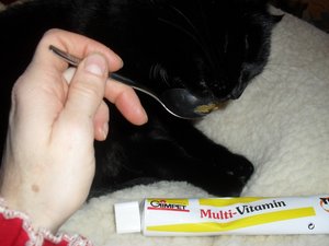 Weihnacht 2010 022.jpg