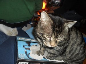 Weihnacht 2010 017.jpg