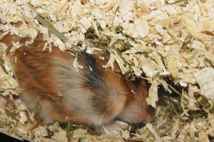 Unterirdisch.JPG Unterirdisch.JPG