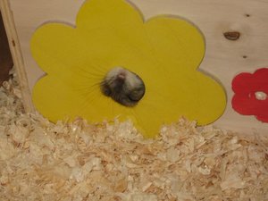 PÃ¼nktchen Randale 2.jpg