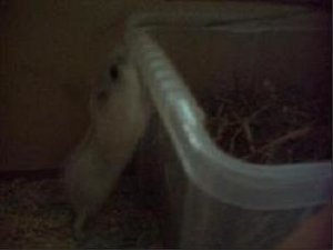 PICT0076.JPG PICT0076.JPG