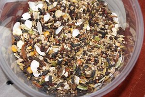 Baloo's Futer.JPG Baloo's Futer.JPG