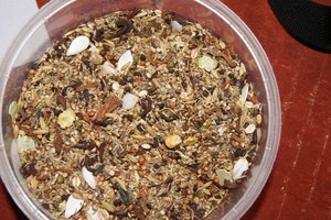 Emmy's Futter.JPG Emmy's Futter.JPG