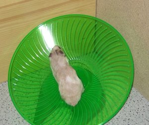 McGee cooles Teil.JPG McGee cooles Teil.JPG