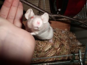 CIMG0449.JPG CIMG0449.JPG