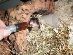 CIMG1287.JPG CIMG1287.JPG